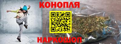 шишки Заводоуковск