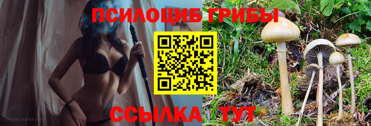 Псилоцибиновые грибы прущие грибы  Галлюциногенные грибы GOLDEN TEACHER  Вход с VPN  Кумертау 